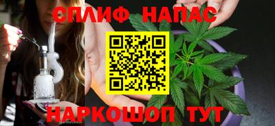 индика Кинель