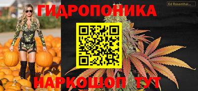 MESCALINE Кингисепп