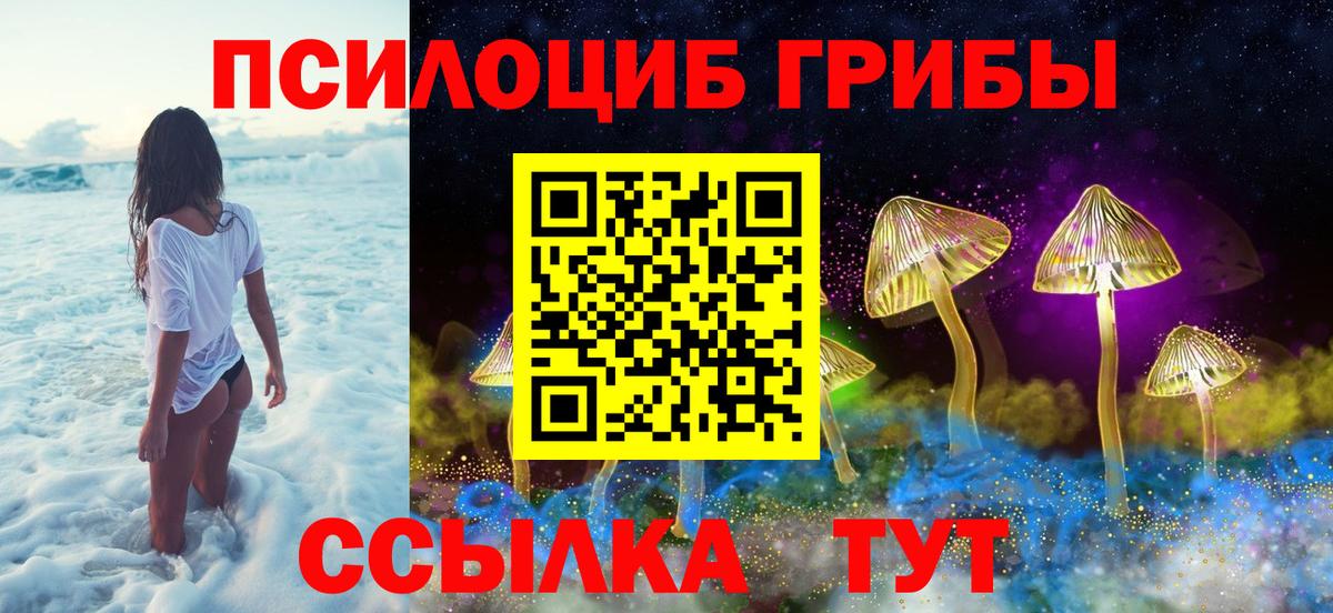 Галлюциногенные грибы Cubensis  Галлюциногенные грибы Psilocybine cubensis  Кореновск  Вход с VPN 